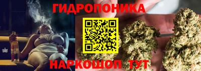 ГАЛЛЮЦИНОГЕННЫЕ ГРИБЫ Обь