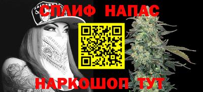 индика Нягань