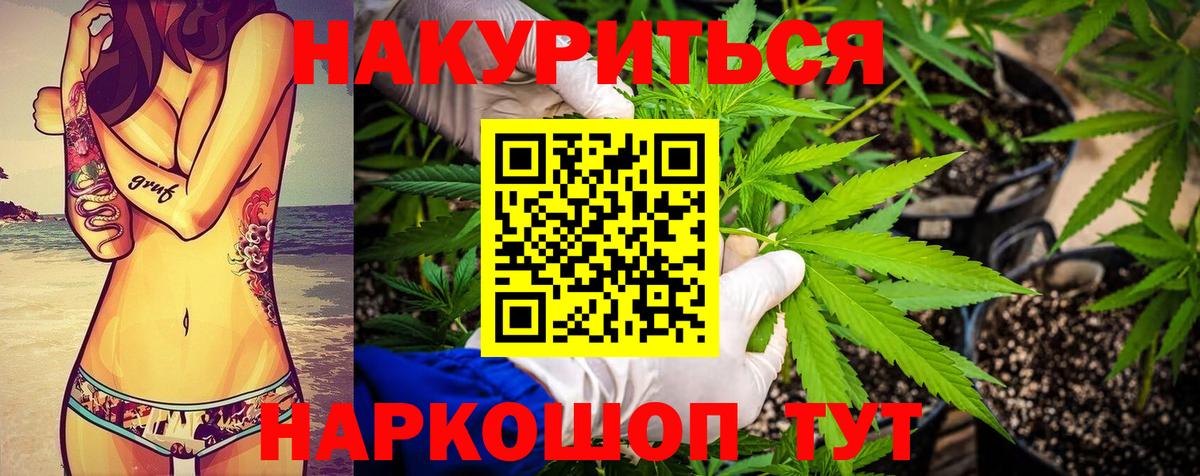 Шишки марихуана планчик  Вход с VPN  МАРИХУАНА VHQ  Бошки Шишки конопля  Славгород 